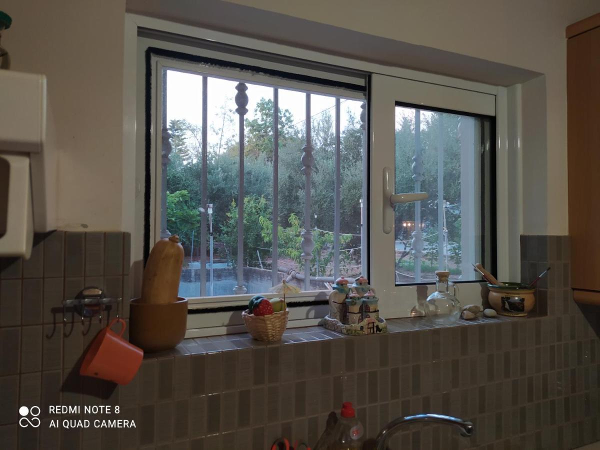 Ozena Countryside Apartment Vromonérion Eksteriør billede